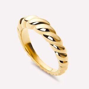 Ana Luisa Rope Slim Twist Gold Ring
